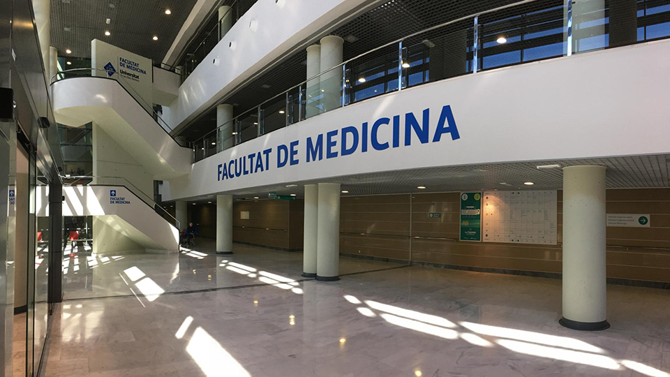 University of the Balearic Islands