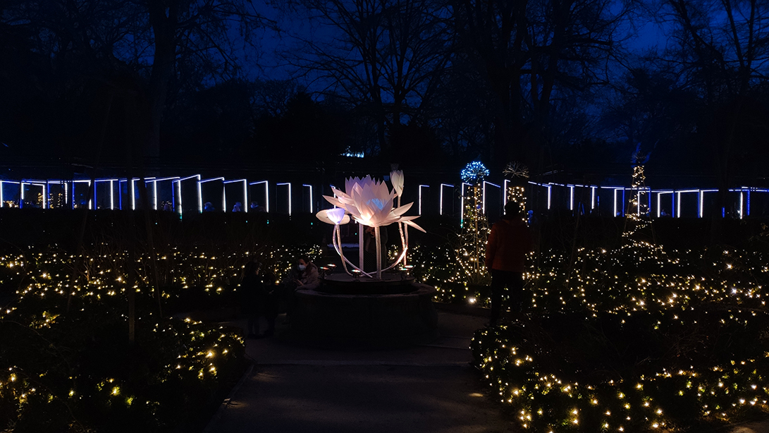 Flower Naturaleza encendida