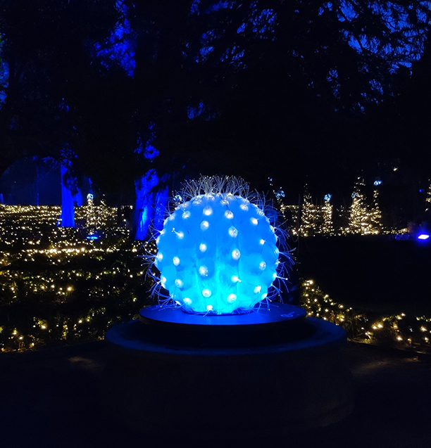 Light Naturaleza encendida