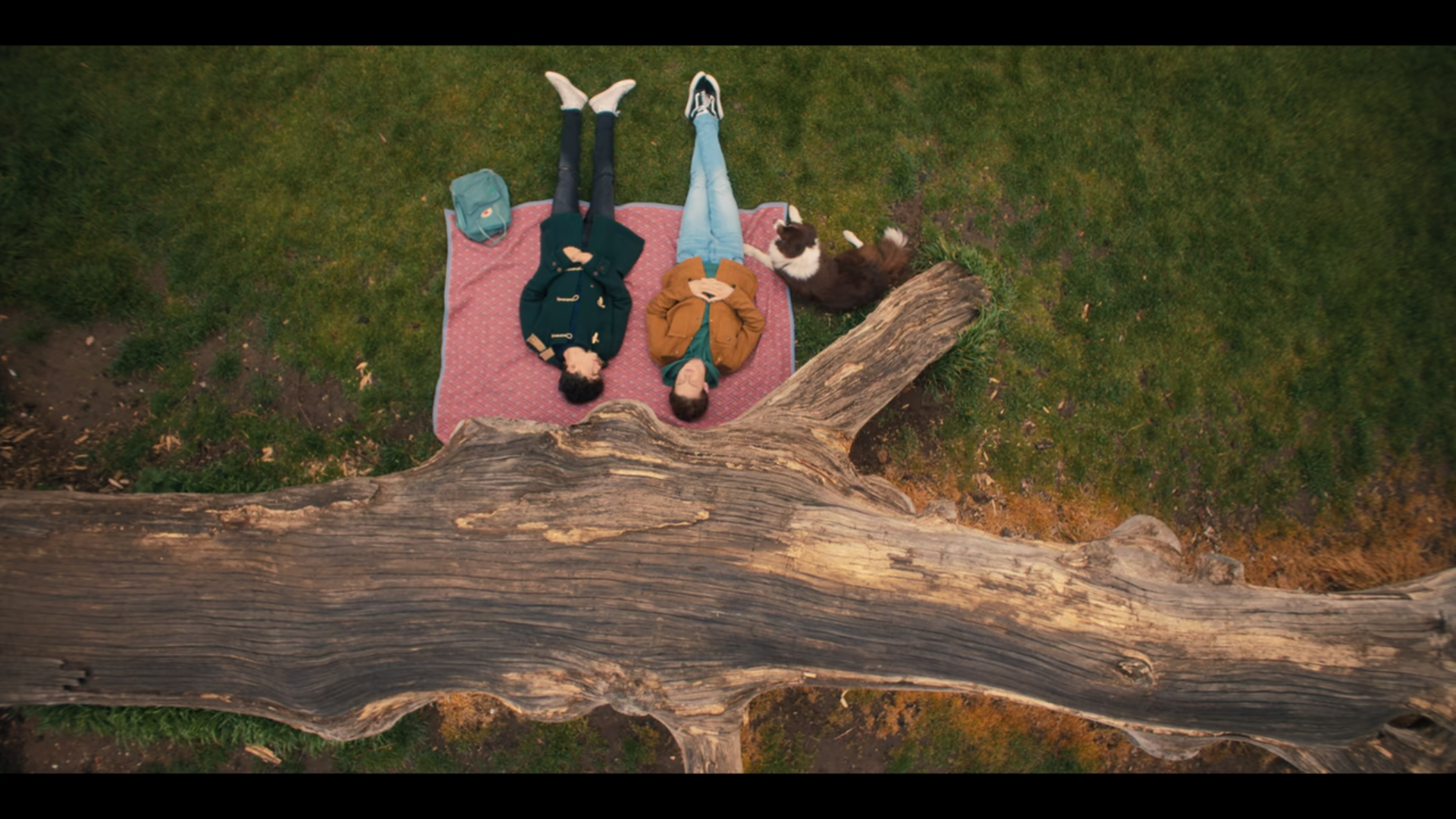 Charlie y Nick tumbados en el Parque Burnham