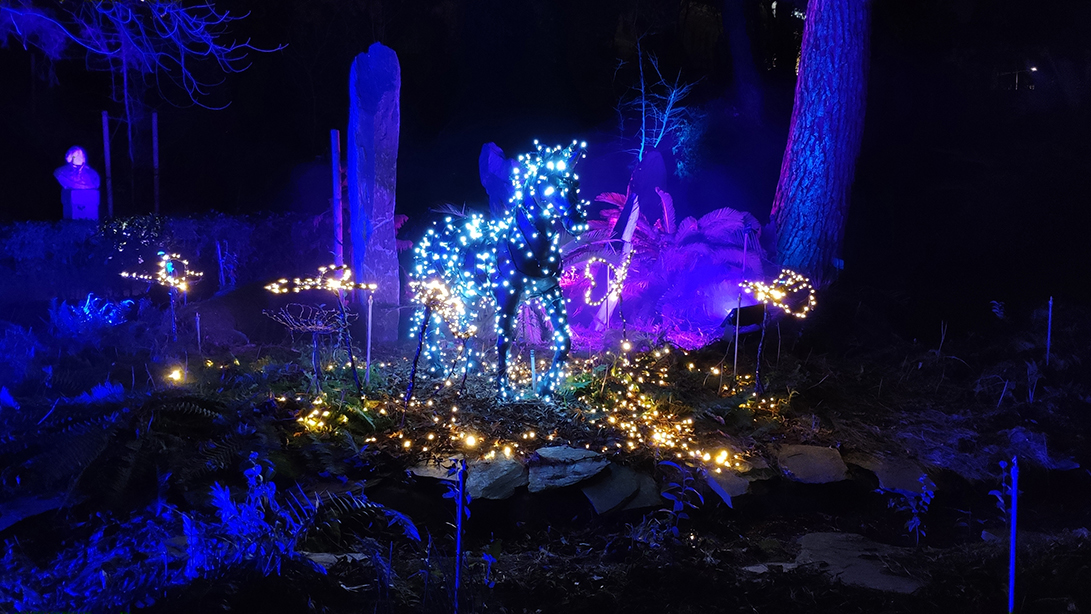 Caballo Naturaleza encendida