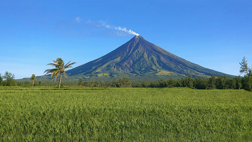Mayón